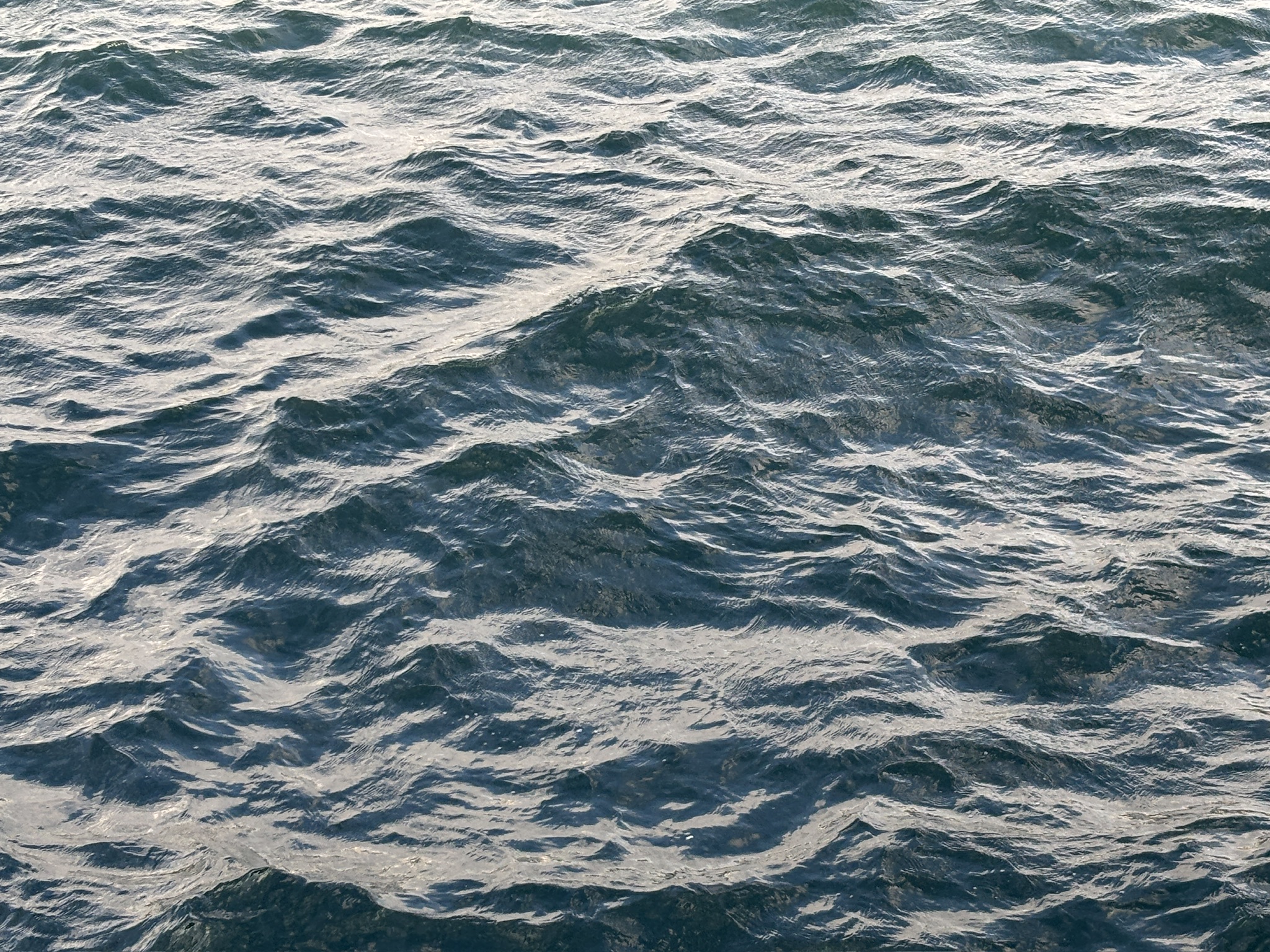 the form of the waves